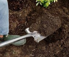 Free Garden Soil