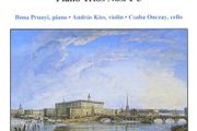 Berwald. Piano Trios Nos. 1-3. CD. Free Postage!