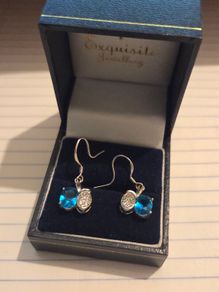 925 Sterling Silver Earrings