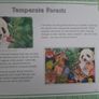 New large 48 piece Endagered Animals Jigsaw Book Image 7