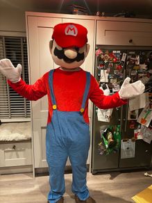 Super Mario Mascot Costume