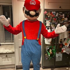 Super Mario Mascot Costume
