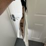 Gucci Polo shirt Mens - size medium Image 4