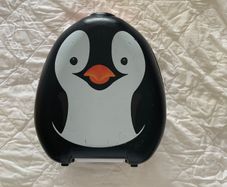 Travel Potty
