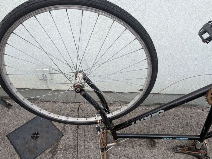 Project Giant Bicycle