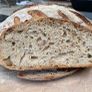 Sourdough starter Organic Image 7