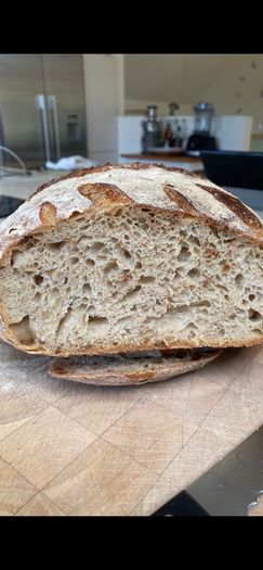 Sourdough starter Organic