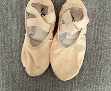 ballet shoes
