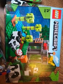 Lego Minecraft 21158