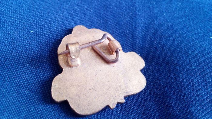 Salisbury Bowling Club Pin Badge.