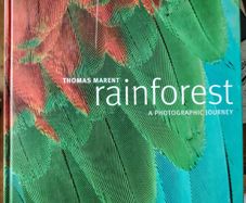 Rainforest Thomas Marent 2006 Rare 1st Edition