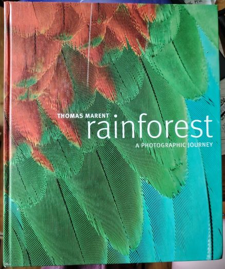 Rainforest
