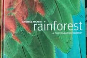 Rainforest