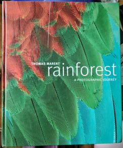 Rainforest