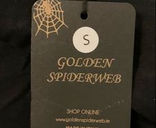 Golden Spider Web