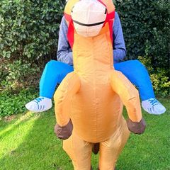 inflatable kids pony costume