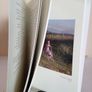 Poetry Ireland Review 133 Edited by Colette Bryce (HQ844) Image 4