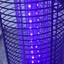 Bug Zapper Image 3