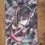 Cyprus Phonecard "Cyprus Eastern Festoon", used, 9/2001, 3 Cypriot Pound - free standard postage Image 2