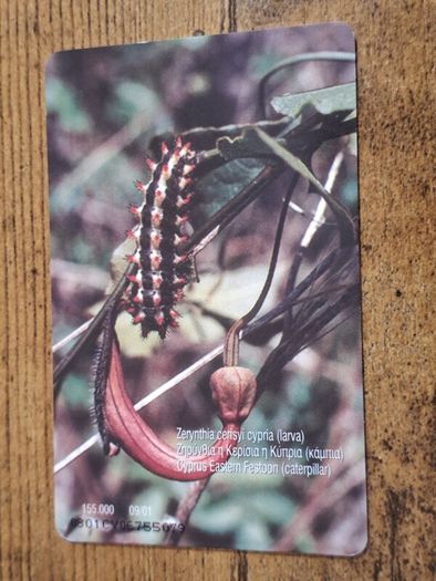 Cyprus Phonecard "Cyprus Eastern Festoon", used, 9/2001, 3 Cypriot Pound - free standard postage
