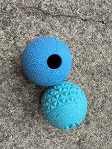 Dog toy