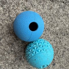 Dog toy
