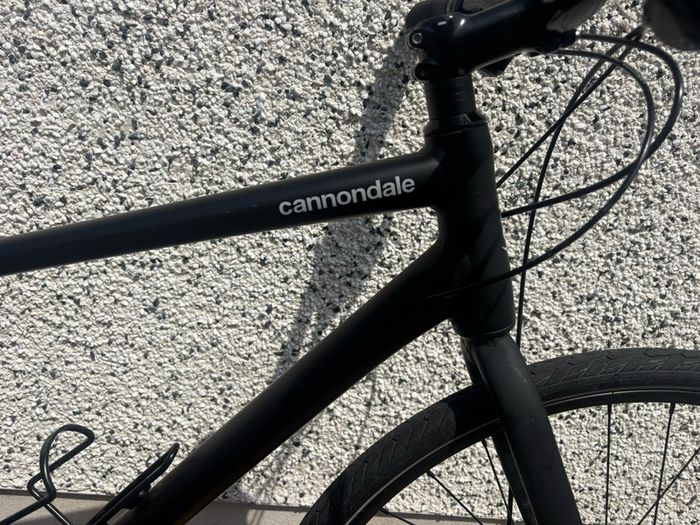 Cannondale quick dics 1