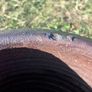 Glazed snake styled flower pot Image 8