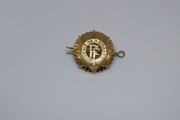 Oglaigh na hEireann - Irish Defence Forces Cap Badge