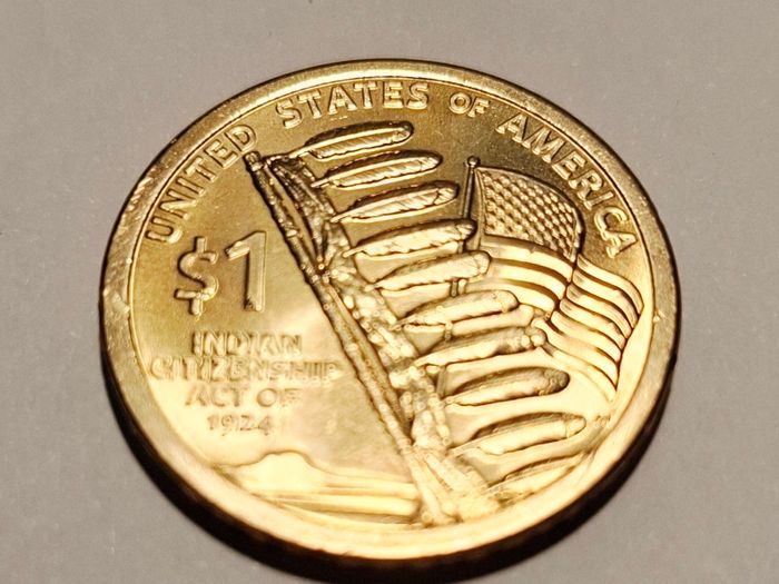 USA Native American Dollar coins