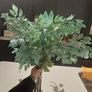 Artificial plants/flowers Image 6