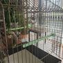 bird cage - for small birds Image 6