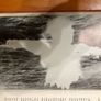War book:'U-Boat 977' Image 4