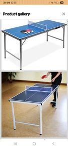 Ping pong table