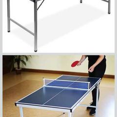 Ping pong table