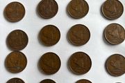 Irish Pingin coins (20)