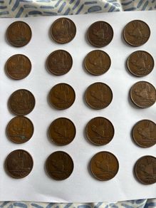 Irish Pingin coins (20)