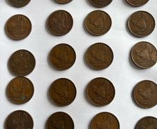 Irish Pingin coins (20)