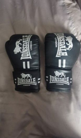 Boxing gloves junior