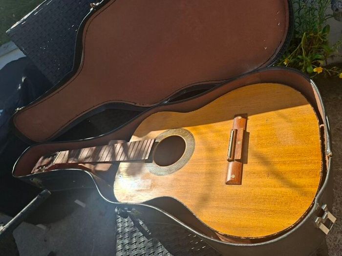 Vintage 1960's Egmond Acoustic made in Holland with case