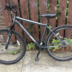 Quarryridge roadmaster