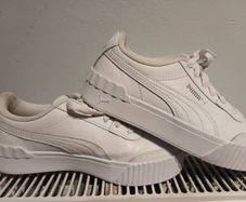 puma