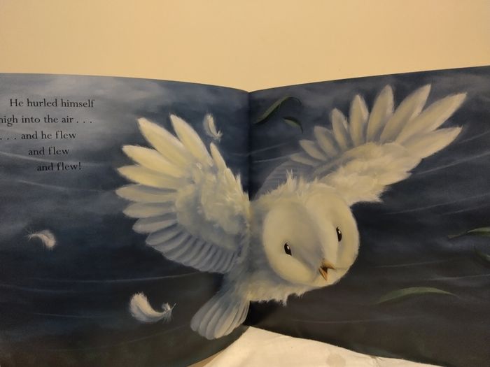 The Littlest Owl by Caroline Pitcher