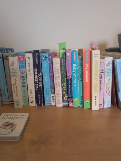 30+ Kids Board Books