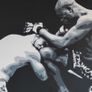 Ufc Mma Artwork Image 2