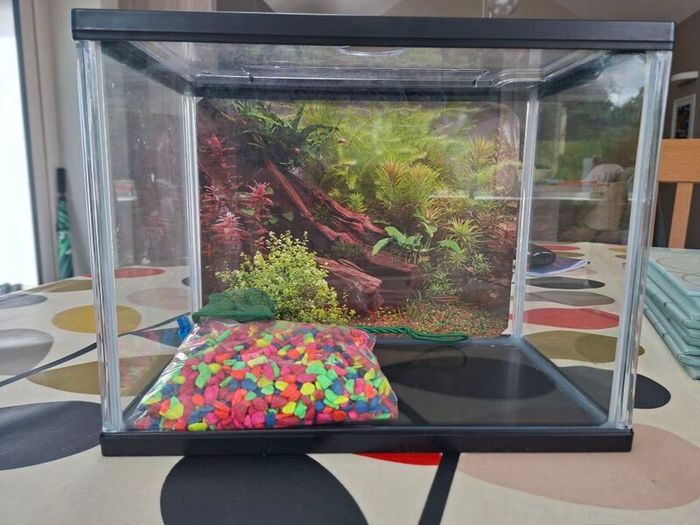 Fish Tank
