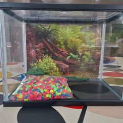 Fish Tank