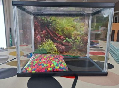 Fish Tank