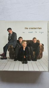 Cranberries. No need To Argue.