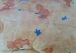 Padded cover with teddy bears